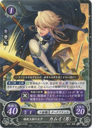 暗夜王国の王子 カムイ(男)