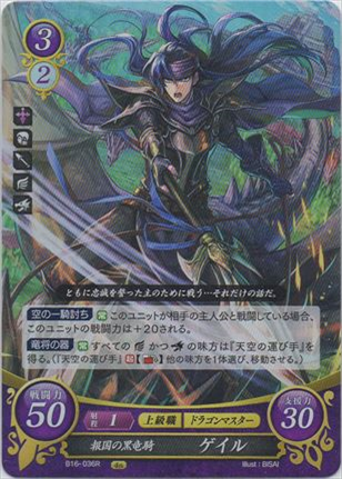 報国の黒竜騎 ゲイル